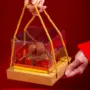 Caixa Vitrine, tamanho 12x12x13cm, pacote com 10 unidades