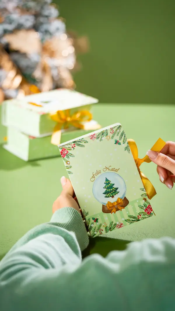 Caixa livro, GLOBO DE NEVE, pacote com 10 unidades